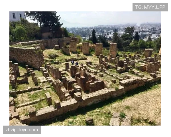 突尼斯迦太基之鹰迎重塑契机，擘画北非足球新蓝图