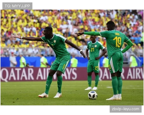 美洲杯最新事件说明与进展